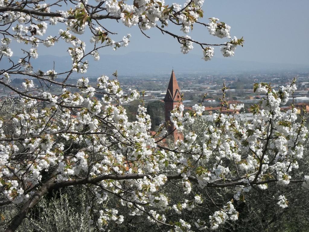 Il Campano Daire Collodi Oda fotoğraf