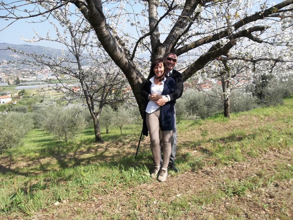 Il Campano Daire Collodi Dış mekan fotoğraf